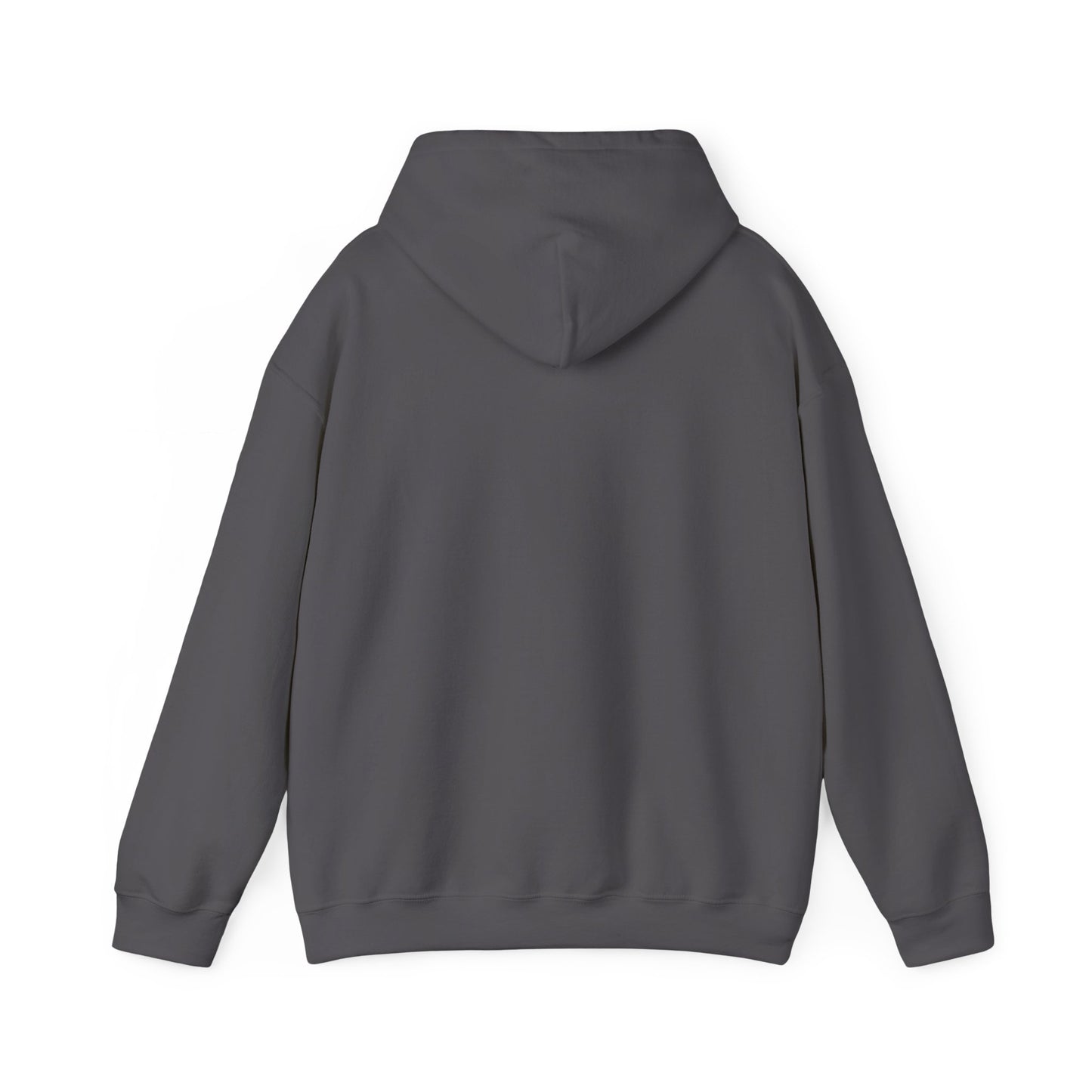 Pilot's Lounge Unisex Heavy Blend™ Hooded Sweatshirt